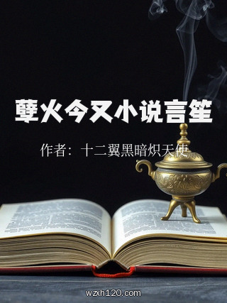 孽火今又小说言笙