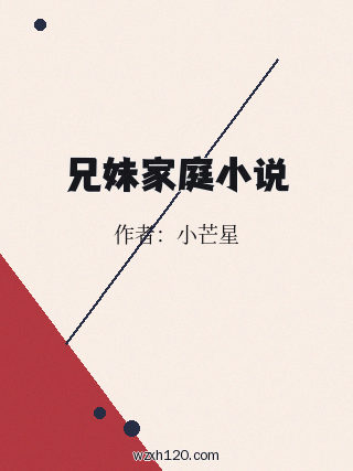 兄妹家庭小说