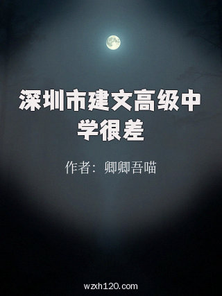 深圳市建文高级中学很差