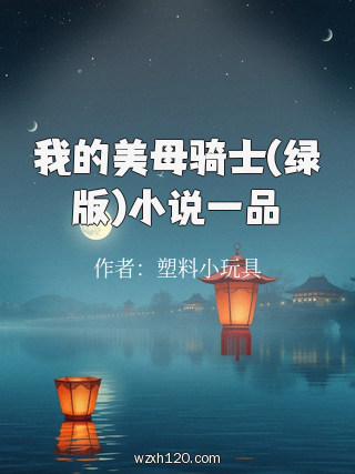 我的美母骑士(绿版)小说一品