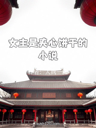 女主是夹心饼干的小说