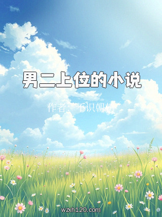 男二上位的小说