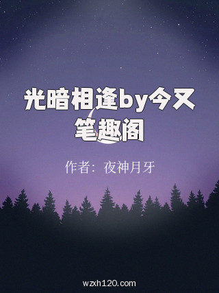 光暗相逢by今又笔趣阁