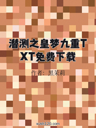 潜测之皇梦九重TXT免费下载