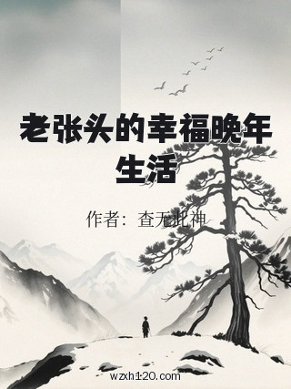 老张头的幸福晚年生活