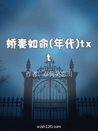 娇妻如命(年代)txt