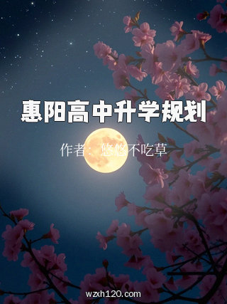 惠阳高中升学规划