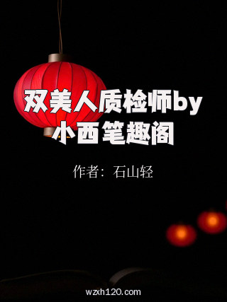 双美人质检师by小西笔趣阁
