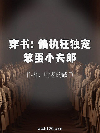 穿书：偏执狂独宠笨蛋小夫郎