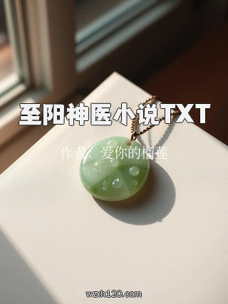 至阳神医小说TXT