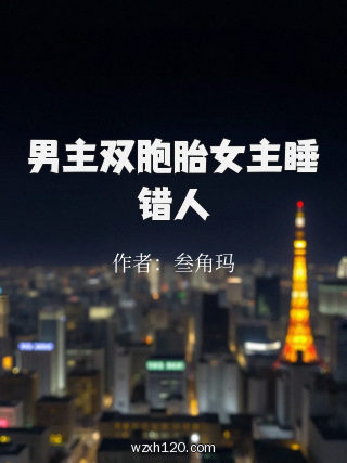 男主双胞胎女主睡错人