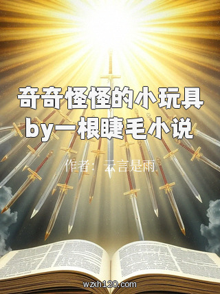 奇奇怪怪的小玩具by一根睫毛小说