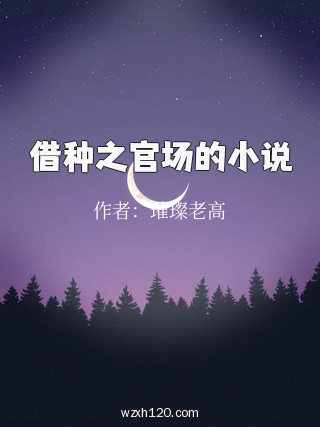 借种之官场的小说