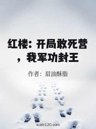 红楼:开局敢死营,我军功封王