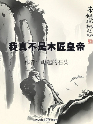 我真不是木匠皇帝