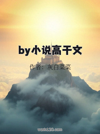by小说高干文