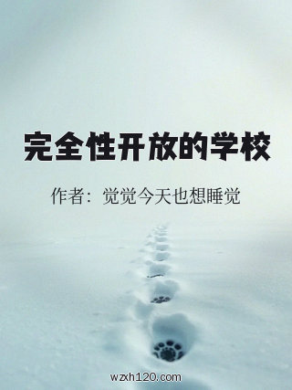 完全性开放的学校