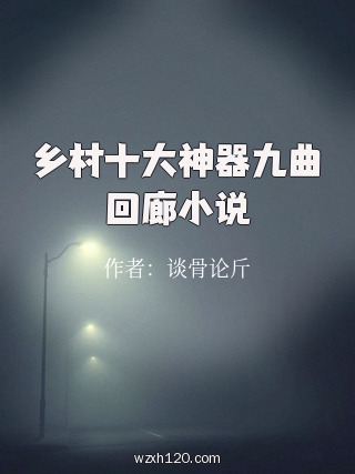 乡村十大神器九曲回廊小说