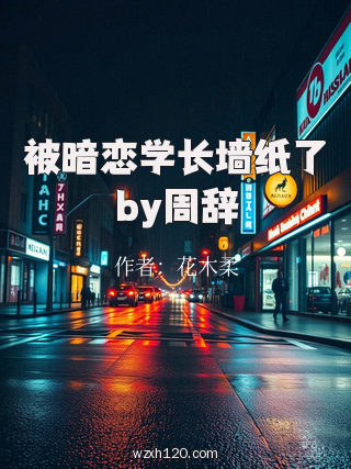 被暗恋学长墙纸了by周辞