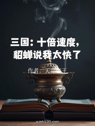 三国:十倍速度,貂蝉说我太快了