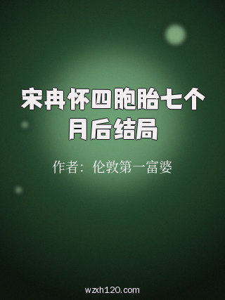 宋冉怀四胞胎七个月后结局