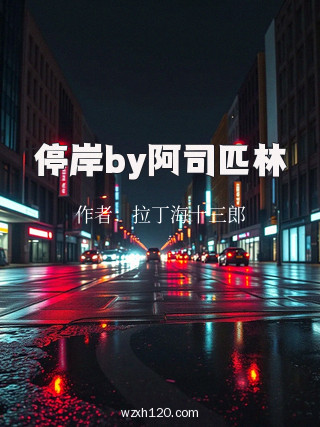 停岸by阿司匹林