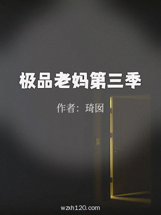 极品老妈第三季