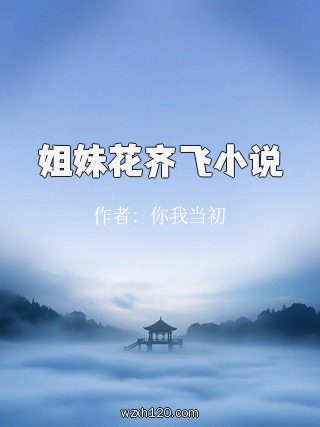 姐妹花齐飞小说