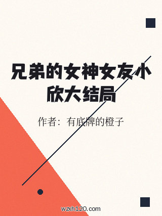 兄弟的女神女友小欣大结局