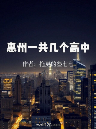 惠州一共几个高中