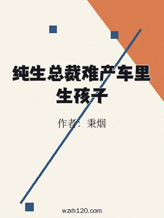 纯生总裁难产车里生孩子