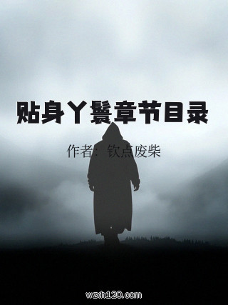 贴身丫鬟章节目录