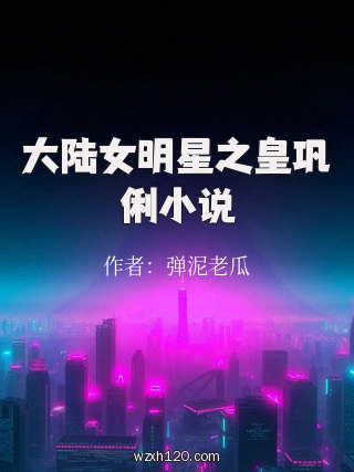大陆女明星之皇巩俐小说