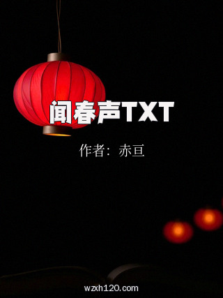闻春声TXT