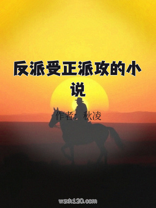 反派受正派攻的小说