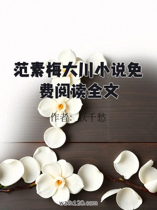 范素梅大川小说免费阅读全文