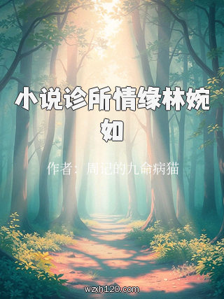 小说诊所情缘林婉如
