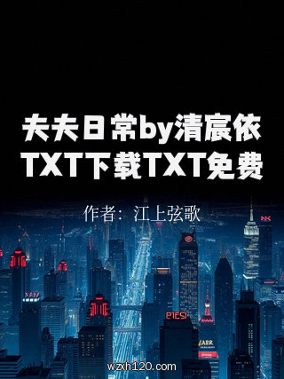夫夫日常by清宸依TXT下载TXT免费