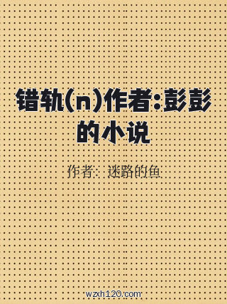 错轨(n)作者:彭彭的小说