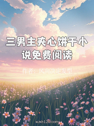 三男主夹心饼干小说免费阅读
