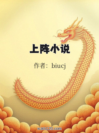 上阵小说