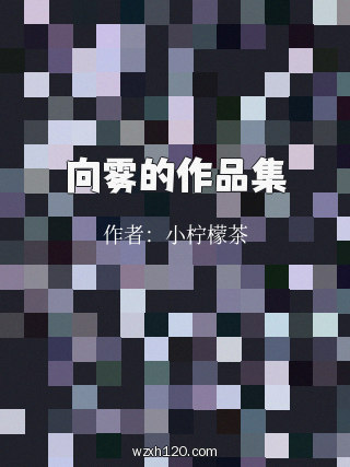 向雾的作品集