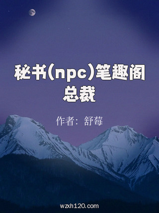 秘书(npc)笔趣阁总裁