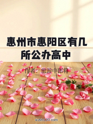 惠州市惠阳区有几所公办高中