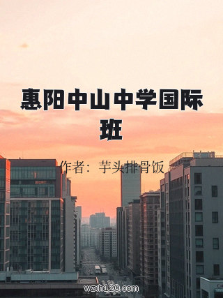 惠阳中山中学国际班