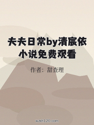 夫夫日常by清宸依小说免费观看