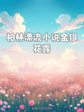 柏林漂流小说金银花露