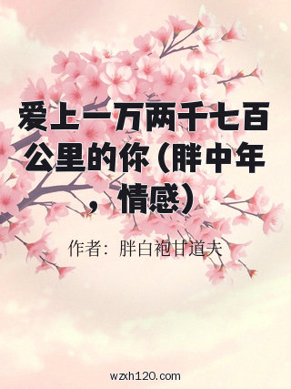 爱上一万两千七百公里的你 (胖中年,情感)