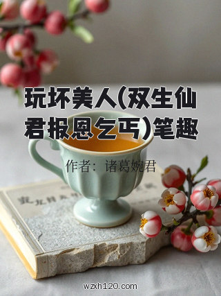 玩坏美人(双生仙君报恩乞丐)笔趣