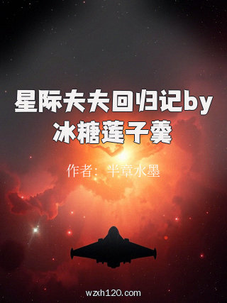 星际夫夫回归记by冰糖莲子羹